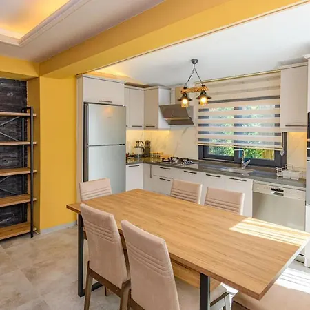 Söğüt 1 - 4 Bedroom With Jacuzzi In Villa